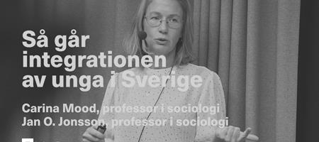 Så går integrationen av unga i Sverige - en faktabas