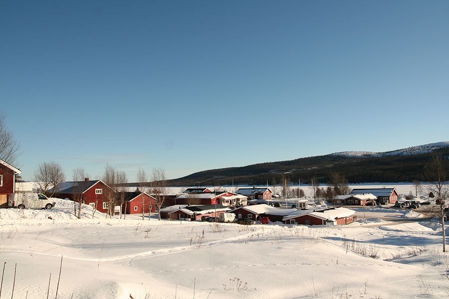 Lofsdalen 2013. Photo: Erik Lundin, Wikimedia
